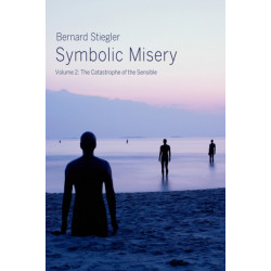 Symbolic Misery, Volume 2: The Catastrophe of the Sensible