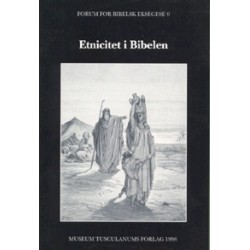 Etnicitet i Bibelen