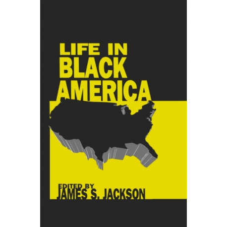 Life in Black America