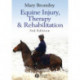 Equine Injury, Therapy and Rehabilitation