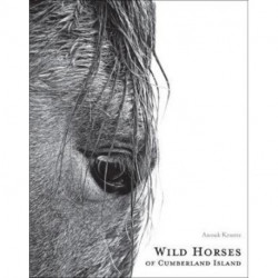 Wild Horses of Cumberland Island
