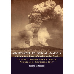Micromorphological Analysis of Activity Areas Sealed by Vesuvius’ Avellino Eruption: The Early Bronze Age Village of Afragola in Southern Italy