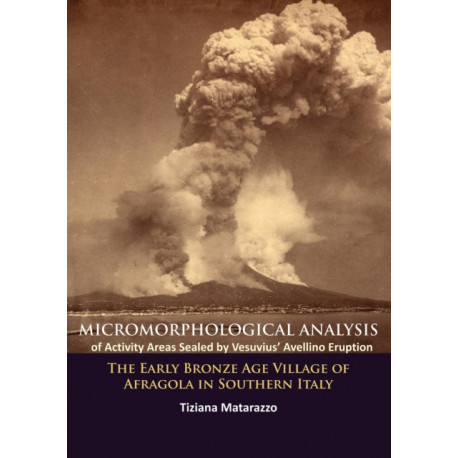Micromorphological Analysis of Activity Areas Sealed by Vesuvius’ Avellino Eruption: The Early Bronze Age Village of Afragola in Southern Italy