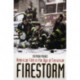 Firestorm: American Film in the Age of Terrorism