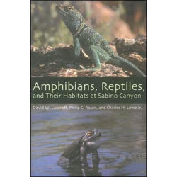 Amphibians, Reptiles, and Their Habitats at Sabino Canyon