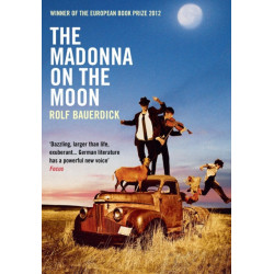 The Madonna on the Moon