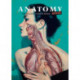 Anatomy Rocks: 30 Deluxe Postcards