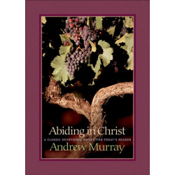 Abiding in Christ