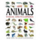 Animals Visual Encyclopedia: More than 750 colour illustrations