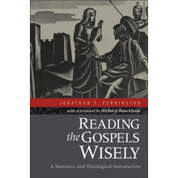 Reading the Gospels Wisely – A Narrative and Theological Introduction: A Narrative and Theological Introduction