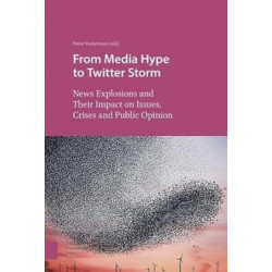 From Media Hype to Twitter Storm: News Explosions and Their Impact on Issues, Crises and Public Opinion
