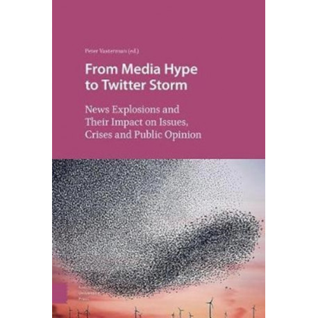 From Media Hype to Twitter Storm: News Explosions and Their Impact on Issues, Crises and Public Opinion