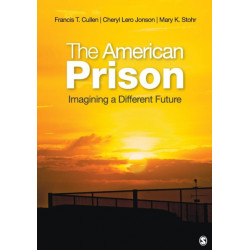 The American Prison: Imagining a Different Future