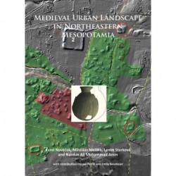 Medieval Urban Landscape in Northeastern Mesopotamia