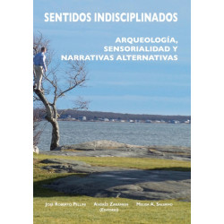 Sentidos indisciplinados: Arqueologia, sensorialidad y narrativas alternativas