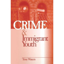 Crime and Immigrant Youth