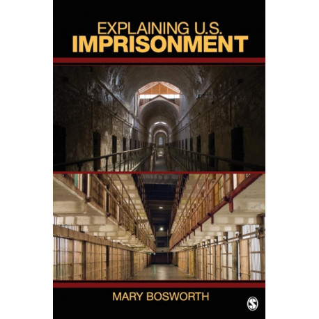 Explaining U.S. Imprisonment