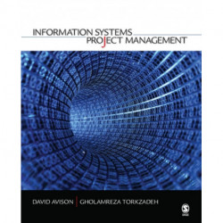 Information Systems Project Management