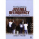 Preventing and Reducing Juvenile Delinquency: A Comprehensive Framework