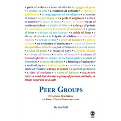Peer Groups: Expanding Our Study of Small Group Communication