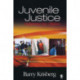 Juvenile Justice: Redeeming Our Children