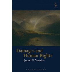 Damages and Human Rights