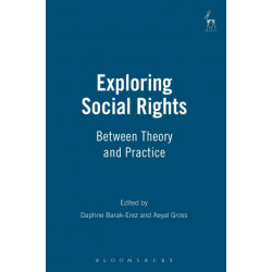 Exploring Social Rights: Between Theory and Practice