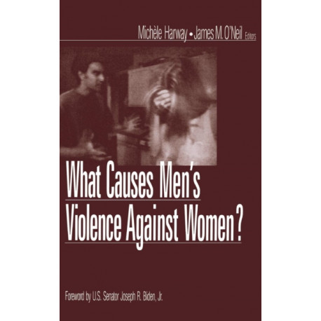 What Causes Men's Violence Against Women?
