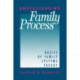Understanding Family Process: Basics of Family Systems Theory