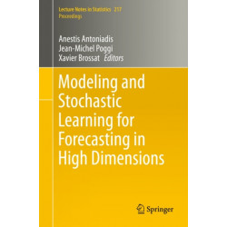 Modeling and Stochastic Learning for Forecasting in High Dimensions