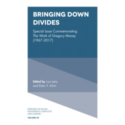 Bringing Down Divides: Special Issue Commemorating the Work of Gregory Maney (1967 - 2017)