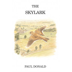 The Skylark