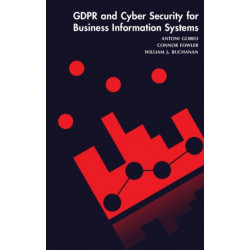 GDPR and Cyber Security for Business Information Systems