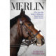 Merlin - The True Story of a Courageous Police Horse