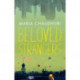 Beloved Strangers: A Memoir