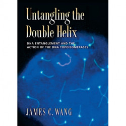Untangling the Double Helix: DNA Entanglement and the Action of the DNA Topoisomerases