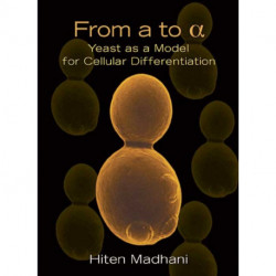 From a to Alpha: Yeast as a Model for Cellular Differentiation