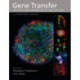 Gene Transfer: Delivery and Expression of DNA and RNA