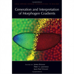 Generation and Interpretation of Morphogen Gradients
