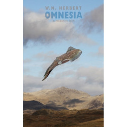 Omnesia (alternative text)