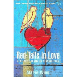 Red-tails in Love: A Wildlife Drama in Central Park