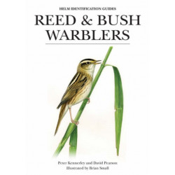 Reed and Bush Warblers
