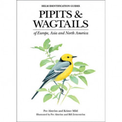 Pipits and Wagtails of Europe, Asia and North America: Identification and Systematics