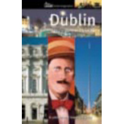 Dublin: A Cultural and Literary History