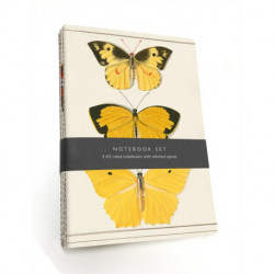 Butterfly Notebook Set: 3 A5 lined notebooks with stitched spines