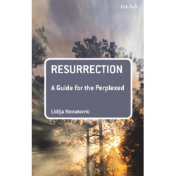 Resurrection: A Guide for the Perplexed: A Guide for the Perplexed