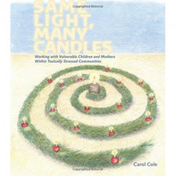 Same Light, Many Candles: Working with Vulnerable Children and Mothers within Toxically Stressed Communities