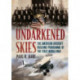 Undarkened Skies: The American Aircraft Building Programme of the First World War