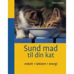 Sund mad til din kat: enkelt, lækkert, energi