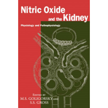 Nitric Oxide and the Kidney: Physiology and Pathophysiology